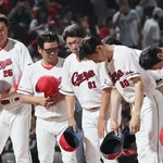 広島・新井監督、謝罪wwwwwwwww