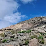 山頂にあったら嬉しいチェーン店
