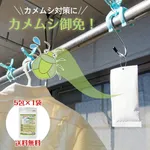 【悲報】カメムシよりキモい虫っているか？ｗｗｗｗｗｗｗｗｗｗ