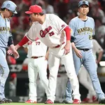 カープファビ11号!モン7号!ハーン死球で乱闘勃発も反撃なく逆転負け【広島2-4阪神/試合結果】