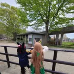 【画像あり】ウマ娘のコスプレwwwwwwww
