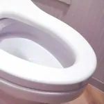 【悲報】めちゃくちゃ硬いうんこ出し切った時に視界が暗くなって聴力失う現象ｗｗｗｗｗｗｗｗｗｗ