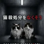 【悲報】猫の殺処分ゼロを目指してAIでポスター作ったｗｗｗｗｗｗｗｗｗｗ