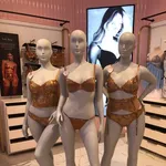【激怒】「全裸が一番エッッッいってのはニワカ、本当にエッッッなのは下着姿」👈😡こいつwwwwwwwwww