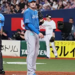 【悲報】北海道日本ハムファイターズさん 今日もエラーで負けてしまう