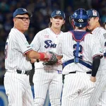 ヤクルトスワローズ(本来の姿)　7月 3勝14敗 勝率.176