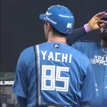 【日本ハム】レイエス、レフトへのタイムリーヒットで追加点｜西部戦｜打った瞬間の反応まとめ｜7/22