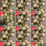 【画像】メルカリに怪しい梨が大量出品