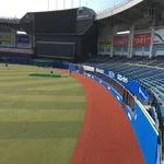 フェンスの素材変えるとかできないのか？
