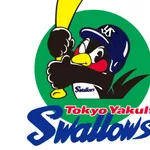 【悲報】ヤクルト、最下位中日と6ゲーム差wwwwwwwww