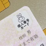 【朗報】政府、マイナカードをAIエージェントと連携へ　「本人に代わってAIが行政手続き」