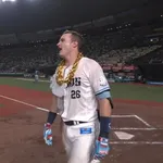 【朗報】ネビン神復活！試合を決めるサヨナラ弾！
