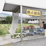 【悲報】副業で野菜作って売りたいんやがｗｗｗｗｗｗｗｗｗｗ