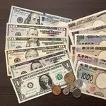 【驚愕】１ドル９５円とかの時代ｗｗｗｗｗｗｗｗｗｗ