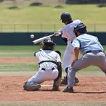 甲子園常連が地区大会で軒並みコケてる理由が判明した