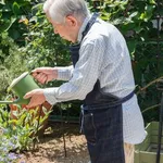 【朗報】高齢男性さん、なぜか家庭菜園にハマってしまう・・・・・・・・・