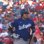 大谷がシーズン20本台しかホームラン打てないとか完全にパワー落ちてるだろ