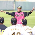 藤浪晋太郎「日本一高い山は富士山、でもニ番目は誰も知らない」