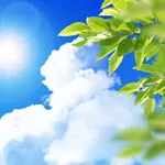 【朗報】9月は暑さが落ちつく模様