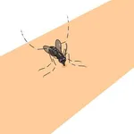 【悲報】🦟さん「可愛い赤ちゃんの卵を産みたいからちょっとだけ血を分けてほしいの😢」ｗｗｗｗｗｗｗｗｗｗ