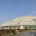 バンテリンドームナゴヤが連日満員な理由(わけ)