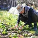 【悲報】農家から最も憎まれてる「アブ」とかいう虫、ガチでヤバすぎるｗｗｗｗｗｗｗｗｗｗ