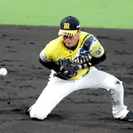 佐藤森下大山遙人才木村上がいて2位の阪神ｗｗｗｗｗｗｗｗ