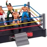 【悲報】プロレスラーさん、ろくな老後を送ってない・・・・・・・・・