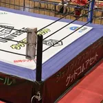 【悲報】プロレスを八百長って言うと怒るプロレスファンさんって何なん？ｗｗｗｗｗｗｗｗｗｗ
