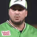 YSーキハダの月別成績がとんでもない事になる