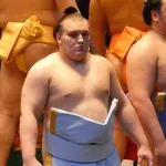 【朗報】関脇・安青錦さん、左足限界で史上初の大関返り咲き場所Vwwwwwwwwww