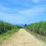 【歓喜】沖縄でレンタカー借りて観光客が行かないところまで制覇したいｗｗｗｗｗｗｗｗｗｗ