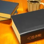 数学とか法律とかそういう絶対的なものしか信用しないんやが