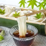 そうめんのつゆに入れると美味い薬味は?