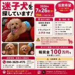 【朗報】めちゃくちゃ割の良い光バイト見つかるｗｗｗｗｗｗｗｗｗｗ