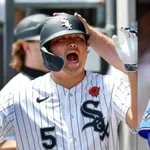 【速報】岡本24本、村上23本、大谷23本、誠也18本wwwwwwwwwwwwwwwwwwww