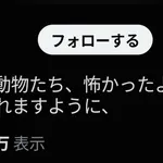 中川翔子「熊本地震で逃げてしまった動物たち、怖かったよね、みんな無事にお家に帰れますように。」