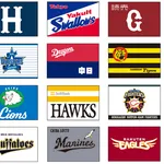 俺の中でNPB16球団化(エクスパンション)の候補地が決まる