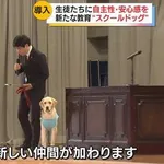 【朗報】スクールドッグを導入した学校、不登校が激減しJKさん「犬のために学校行きたくなる」ｗｗｗｗｗｗｗｗｗｗ