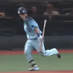 【動画】平沢大河さん、虫から逃げ回り試合中断ｗｗｗｗ