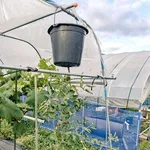 【朗報】おじさん達、なぜか家庭菜園にハマってしまうwwwwwwwwww