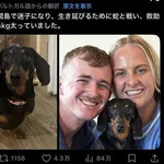 【朗報】イッヌ、蛇の棲む島で529日間行方不明になるも無事飼い主と再会するｗｗｗｗｗｗｗｗｗｗ