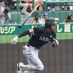 鈴木岡本村上の活躍見てると柳田がメジャー行ったら3割30本やれたよな
