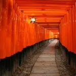 【朗報】1人京都旅行2日目や！ｗｗｗｗｗｗｗｗｗｗ