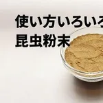 【悲報】コオロギ食を広めて倒産した人さん、全く諦めていなかった・・・・・・・・・