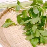 三つ葉を使う料理を教えてクレメンス