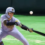 藤川の攻撃采配がバントしかないのマジできついよな
