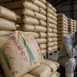 【悲報】米の値段大暴落の危機。在庫が山程ある状態で新米の収穫始まる。「米農家が生活できない」