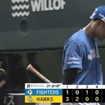 北海道日本ハムファイターズ対SB戦2勝14敗