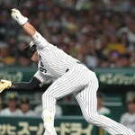 立石が自信満々に見逃した伊勢の4球目、クソストライクwwwwwwwww